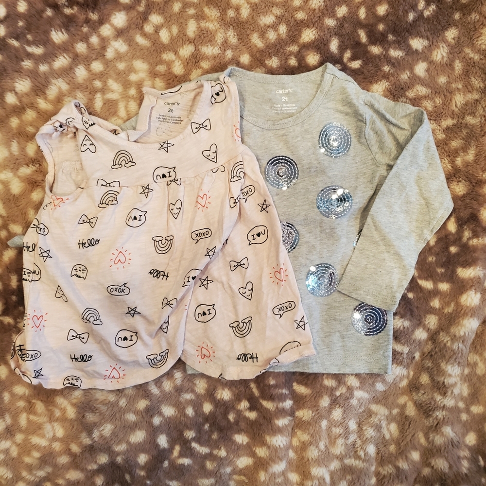 Carter's Brand 2 Piece Bundle, 2T Toddler Girl